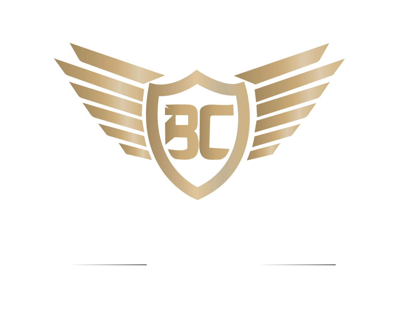 Black Car Services